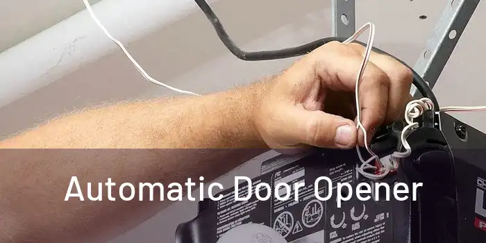  Automatic Door Opener 