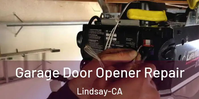  Garage Door Opener Repair Lindsay-CA