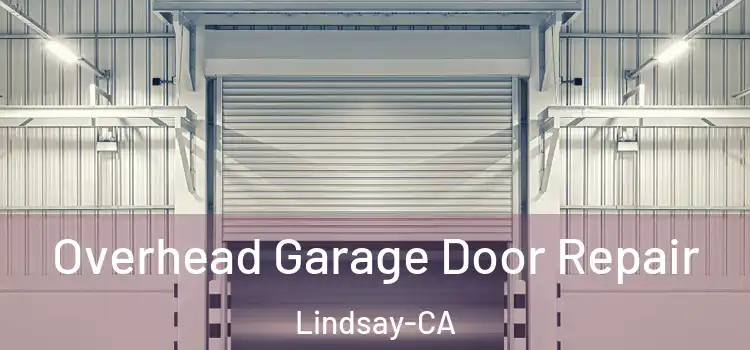 Overhead Garage Door Repair Lindsay-CA